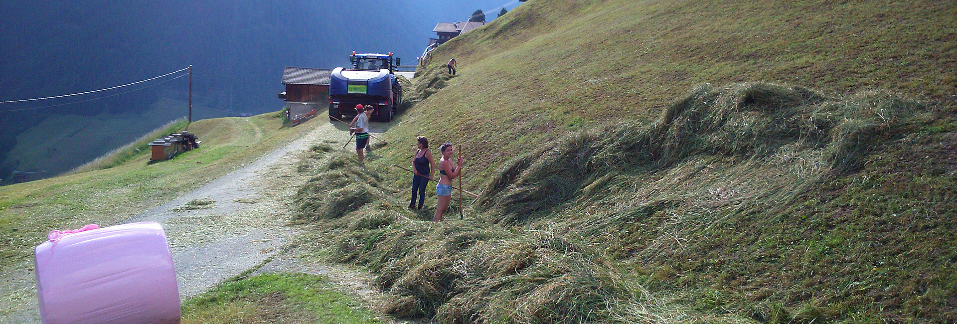 [Translate to Englisch:] Grassiloballen